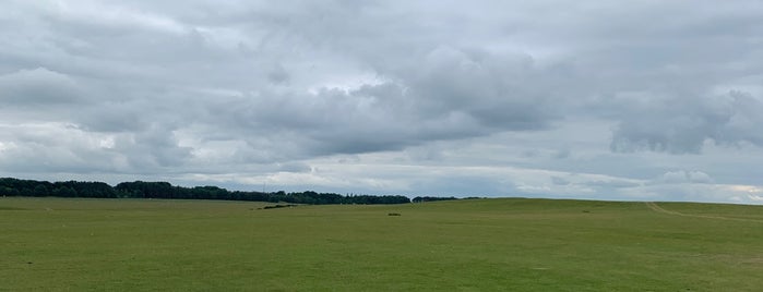 Curragh Plains is one of Mark's list of Ireland.