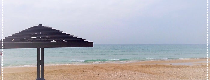 Dado Beach is one of Israel, Jordan & Middle East.