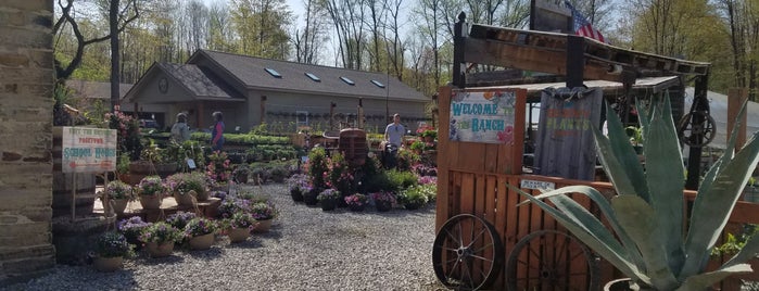 Groovy Plants Ranch is one of Tammy'ın Beğendiği Mekanlar.