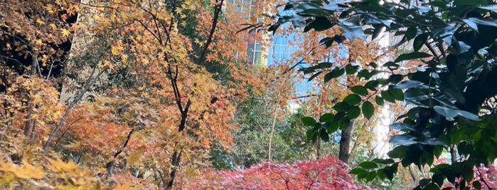 大手町の森 is one of 公園.