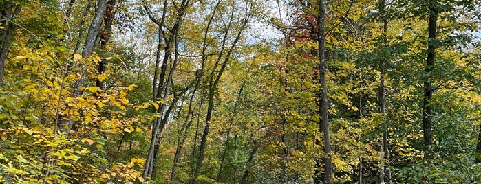 Sleeping Giant Hiking Trail is one of Top 10 favorites places in Shelton, CT.