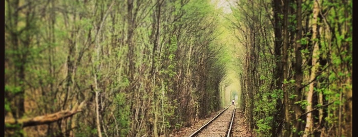 Tunnel of Love is one of Україна / Ukraine.