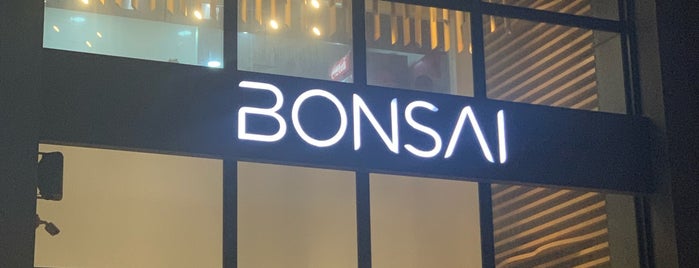 Bonsai is one of Bahrain 🇧🇭.