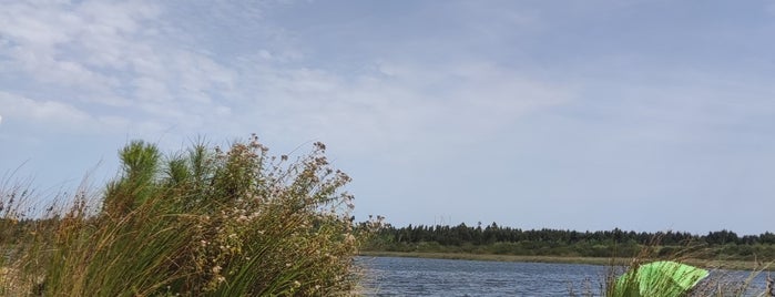 Lagoa da Ervedeira is one of Lieux qui ont plu à Anastasia.