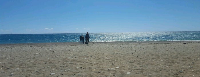 Playa de Las Moreras is one of Posti che sono piaciuti a Raul.