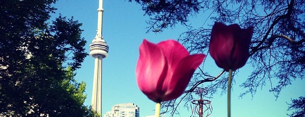 Toronto Music Garden is one of สถานที่ที่บันทึกไว้ของ Alex.