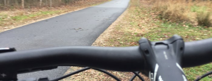 Neuse River Trail at Thornton Road is one of Posti che sono piaciuti a Michael.