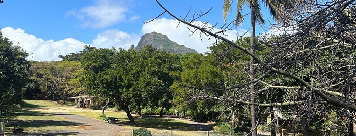 Casela Nature Leisure Park is one of Mauritius 🇲🇺.