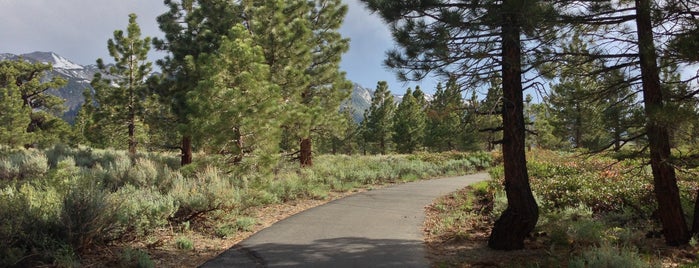 Mammoth Creek Trail is one of Mammoth / Yosemite.