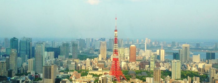 Tokyo City View is one of Tokyo 2015.
