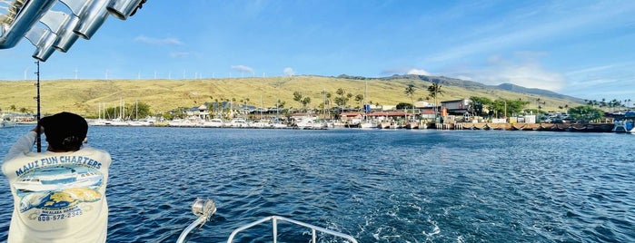 Ma'alaea Harbor is one of Hawaii Trip - Maui Island.