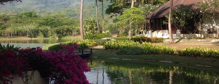 Phuket Arcadia Resort & Spa is one of Гостиницы.