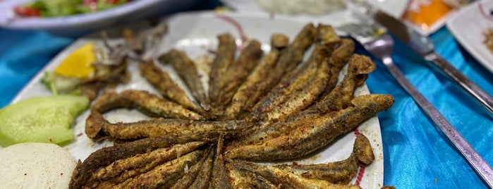 Fish Bread Çıtır Balık is one of TURGUTLU.