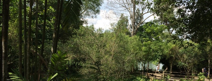 シンガポール動物園 is one of Touring-1.