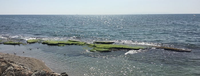 Floisvos Beach is one of Lugares favoritos de Christina.