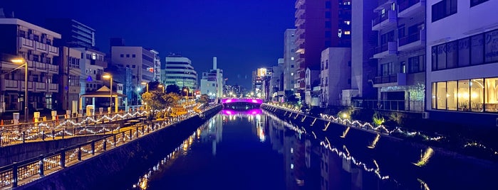 中橋 is one of 渡った橋（西日本）.