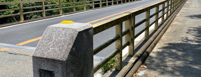 星子橋/星子橋側道橋 is one of 渡った橋（東日本）.