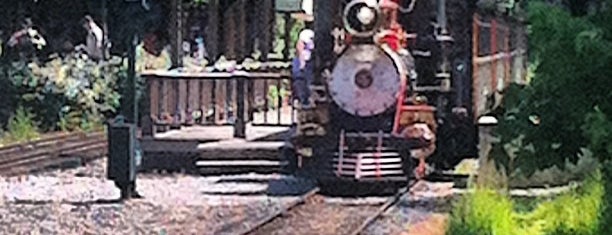 Disneyland Railroad – Frontierland Depot is one of Disneyland Paris.