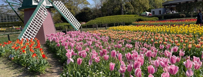 Hyogo Prefectural Flower Center is one of MUNEHIRO’s Liked Places.