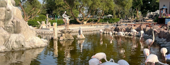 Al Areen Wildlife Park & Reserve is one of Bahrain - The Pearl Of The Gulf.