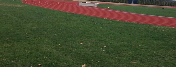 Springfield College Track is one of "Tings" To Do!.