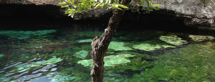 Cenote Azul is one of Mexico places to visit.