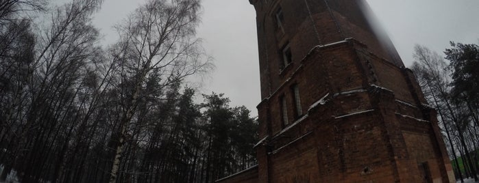 Башня в парке Лесотехнической Академии is one of My Mayor Aleks часть 2.