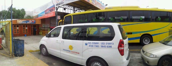 Buses Casther Copiapó is one of Copiapó.