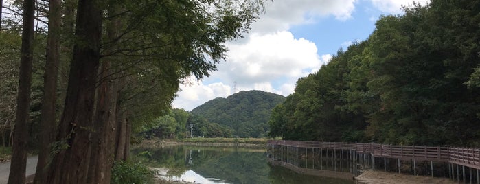 입암저수지 is one of Won-Kyung 님이 좋아한 장소.