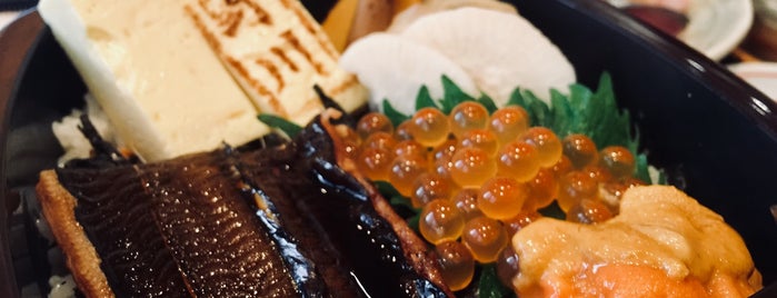 Nogawa Japanese Restaurant is one of SG to try.
