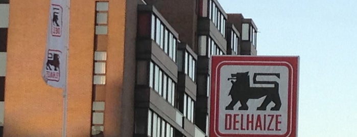 Delhaize is one of Alimentaire ment vôtre.