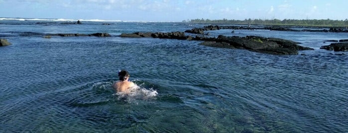 Kapoho Ponds is one of Lugares favoritos de eryn.