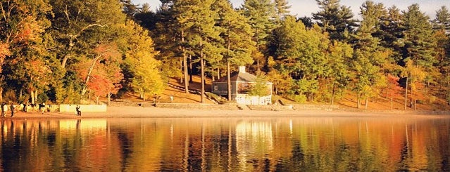 Walden Pond State Reservation is one of Weekend Things to Do.
