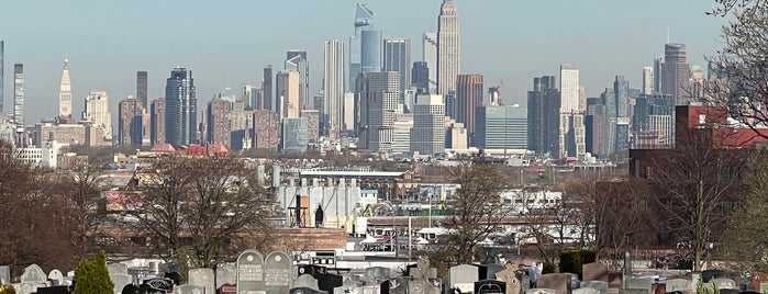 Linden Hill Cemetery is one of NYC: Bushwick.