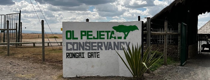 Ol Pejeta Conservancy is one of World bucket list.