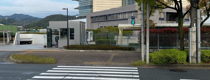 小倉競馬場 is one of 日本中央競馬会.