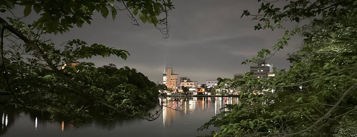 洗足池公園 is one of South of Tokyo.