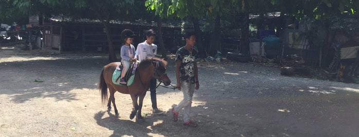 คอกม้าลุงเหน่ง is one of Horse stable.