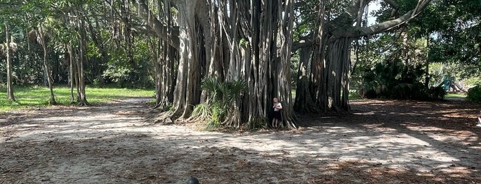 Hugh Taylor Birch State Park is one of Hollywood FLA.