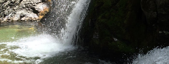 Sharplin Falls Reserve is one of New Zealand.