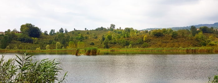 Gaga Gölü is one of Lugares favoritos de Figen.