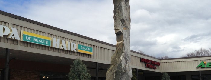 Stuyvesant Plaza is one of Albany, NY.