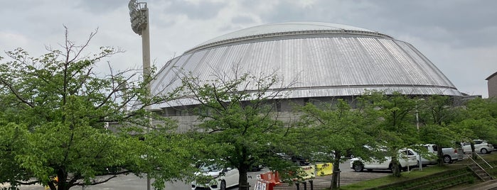 いきいきランド交野 is one of アリーナ＆体育館.