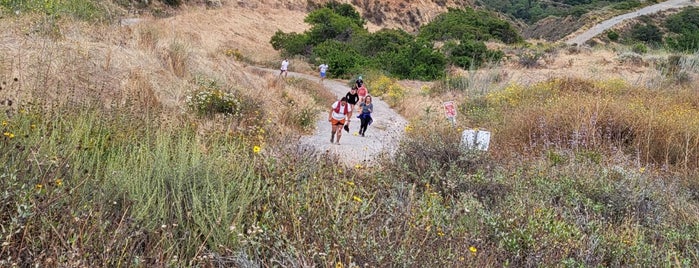 Mission Trails Regional Park - Tierrasanta Entrance is one of Для ребенка в Сан Диего.