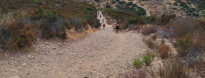 Mission Trails-  The Grass Lands is one of San Diego Hiking Favorites.