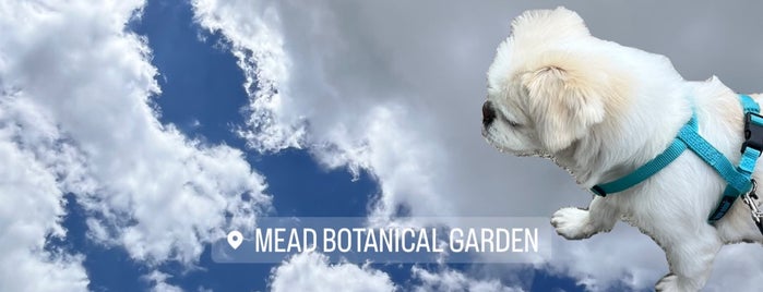 Mead Gardens is one of Favorite Great Outdoors - Orlando.