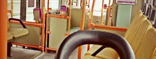 SBS Transit: Bus 196 is one of p sg.