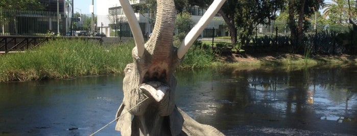 La Brea Tar Pits & Museum is one of California Suggestions.
