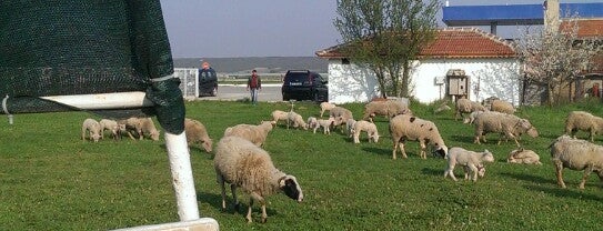 Karamesutlu is one of Eren'in Beğendiği Mekanlar.