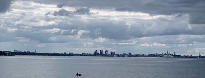 Panorama: Kilukarbi vaade - Pirita Tallinn Viewpoint is one of Tallinn | Таллин.